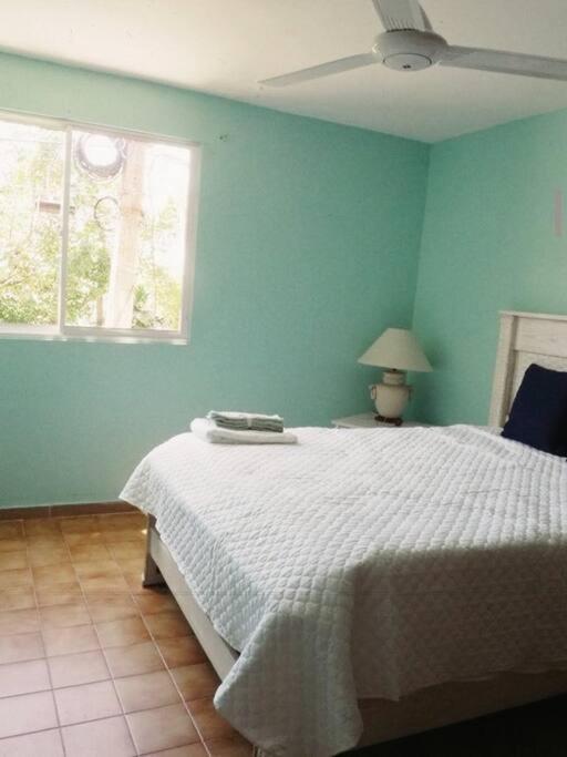 La Casa De Mama Luz Daire Puerto Plata Dış mekan fotoğraf