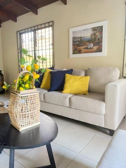 La Casa De Mama Luz Daire Puerto Plata Dış mekan fotoğraf