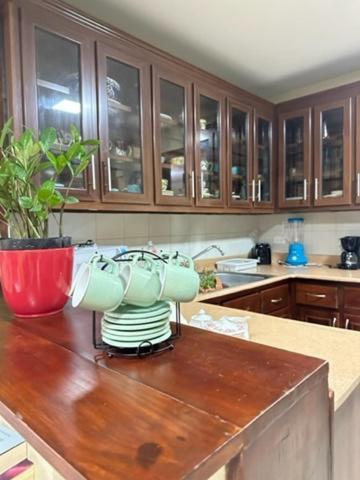 La Casa De Mama Luz Daire Puerto Plata Dış mekan fotoğraf